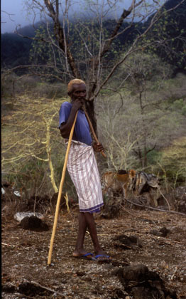 Berger Afar